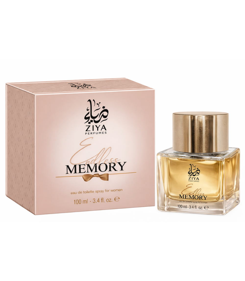 Endless Memory Endless Memory